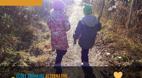 ÉCOLE ALTERNATIVE DE LA LA TORTUE-DES-BOIS