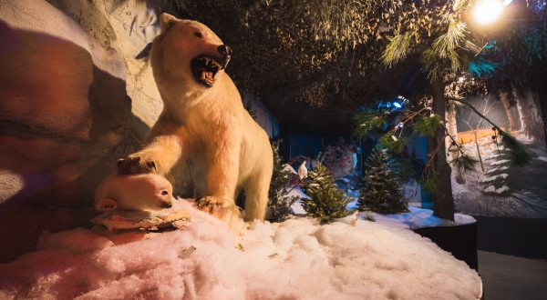 MUSÉE DE LA FAUNE ET SITE AMÉRINDIEN MOKOTAKAN