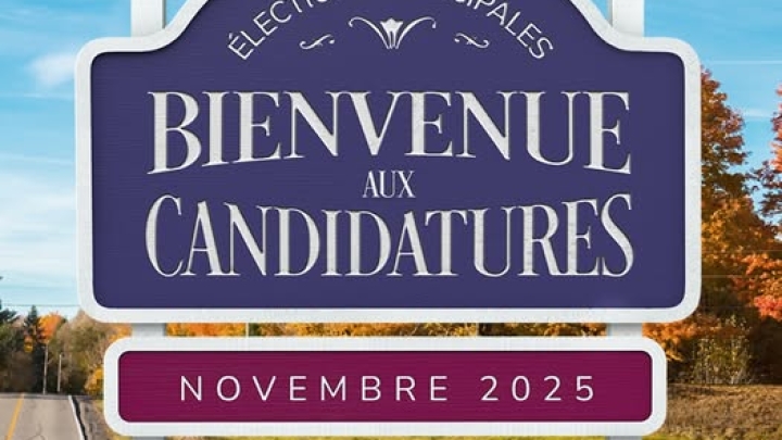 Élections 2025