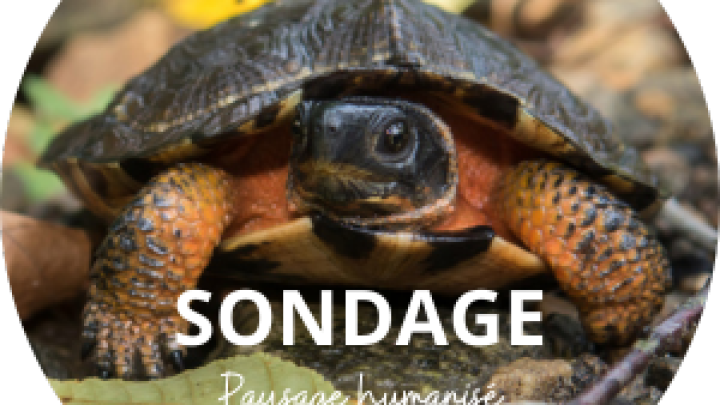 PAYSAGE HUMANISÉ | SONDAGE