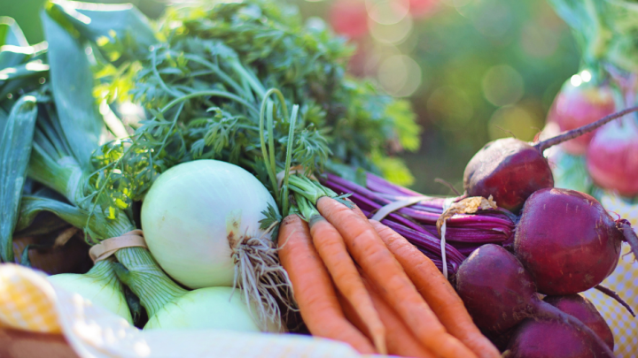 DES SURPLUS DANS VOTRE JARDIN ?
