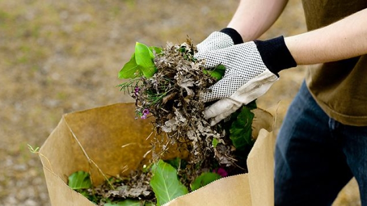 COLLECTE DES FEUILLES MORTES ET RÉSIDUS VERTS
