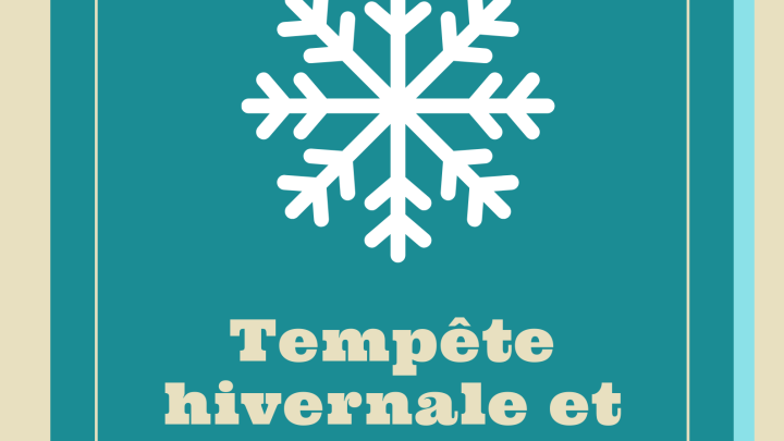TEMPÊTE HIVERNALE | OPÉRATION DÉNEIGEMENT