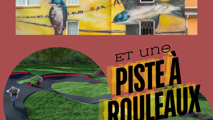 Murale et Piste à rouleaux
