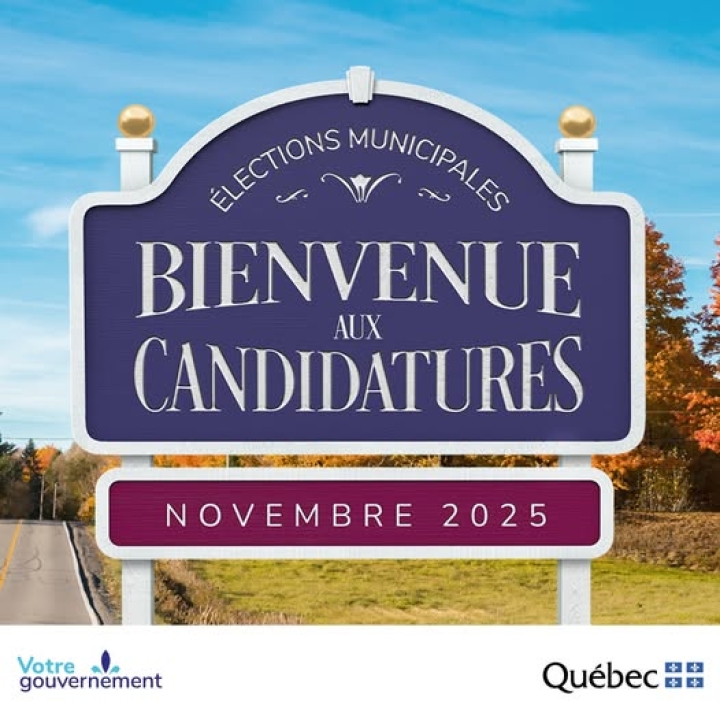 Élections 2025