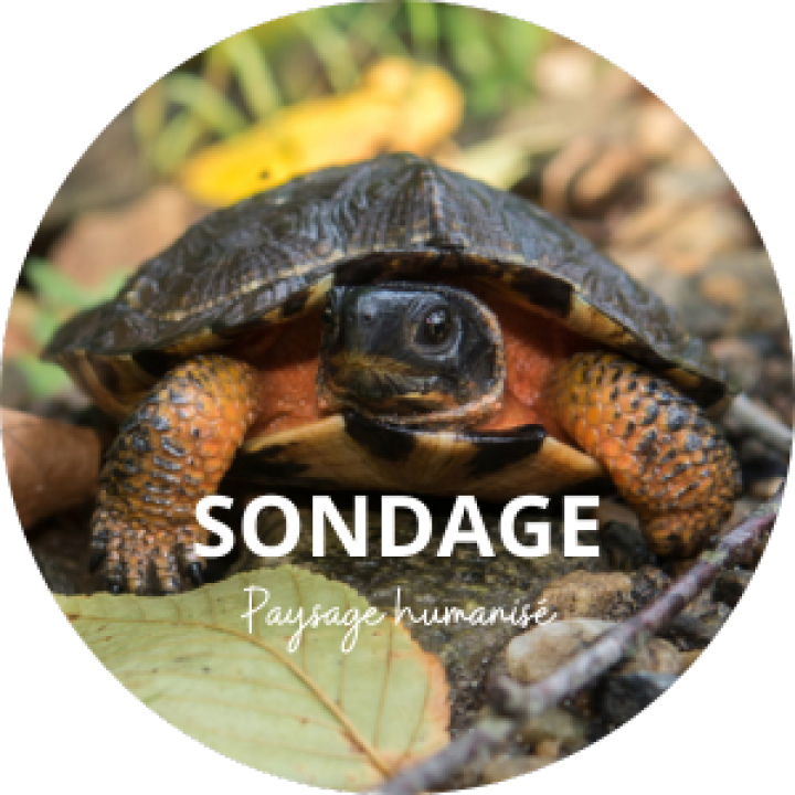 PAYSAGE HUMANISÉ | SONDAGE