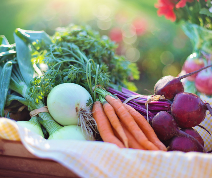 DES SURPLUS DANS VOTRE JARDIN ?