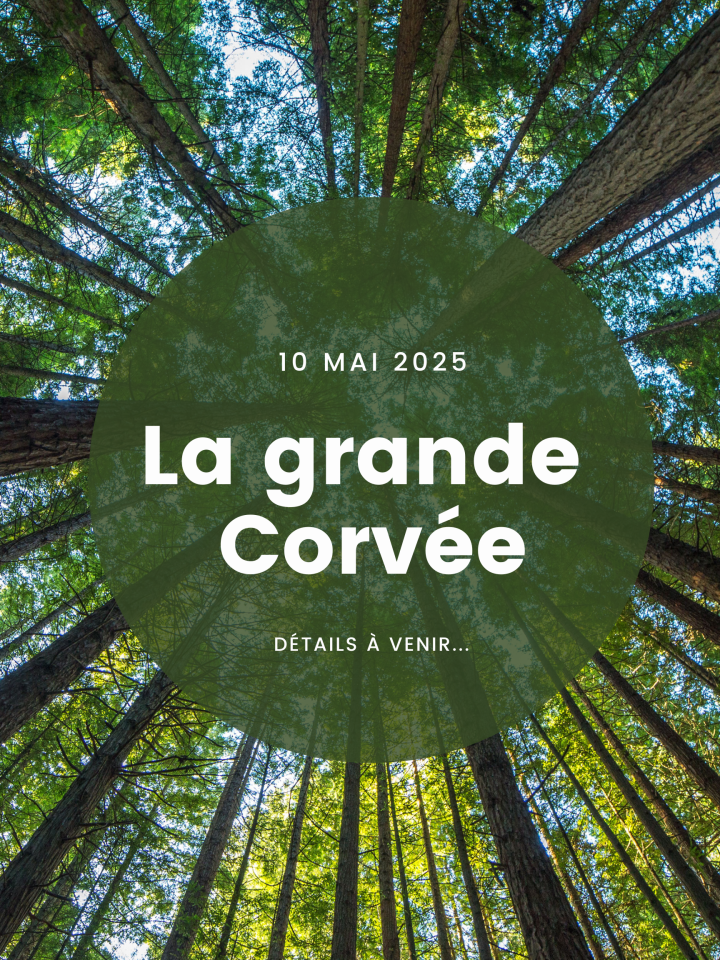 La grande Corvée