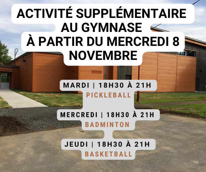 ACTIVITÉS AU GYMNASE | BADMINTON