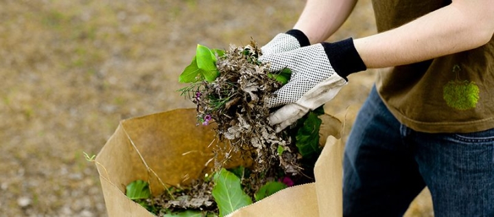 COLLECTE DES FEUILLES MORTES ET RÉSIDUS VERTS