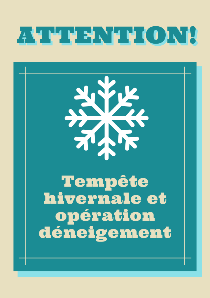 TEMPÊTE HIVERNALE | OPÉRATION DÉNEIGEMENT