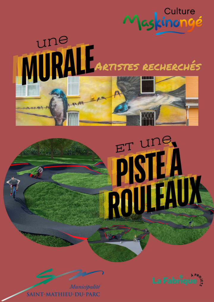 Murale et Piste à rouleaux
